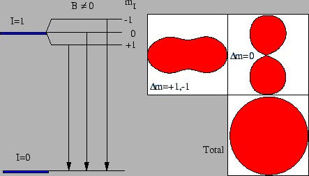 \resizebox{0.8\textwidth}{!}{\includegraphics{multipol.eps}}